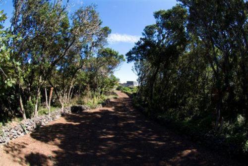 Casa Das Faias Santa Cruz da Graciosa Ngoại thất bức ảnh